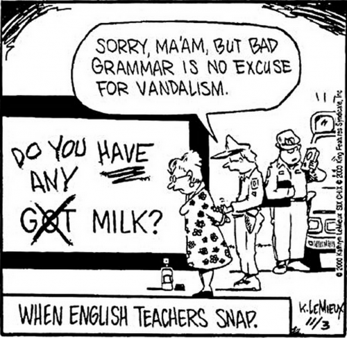 Funny Memes: When English teachers snap...